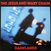 JESUS AND MARY CHAIN