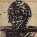 Dream Syndicate - Medicine Show