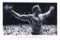 Arnold Schwarzenegger Poster Enjoyment