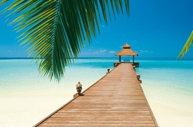 Fototapete Strand Paradise Beach - Klicken fr grssere Ansicht